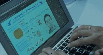 91 看 片 国产,国产影视盛宴的探索之旅